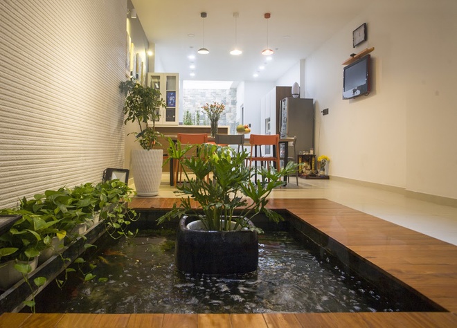  Nhà ống Sài Gòn đem thiên nhiên vào nhà với hồ cá xinh xắn